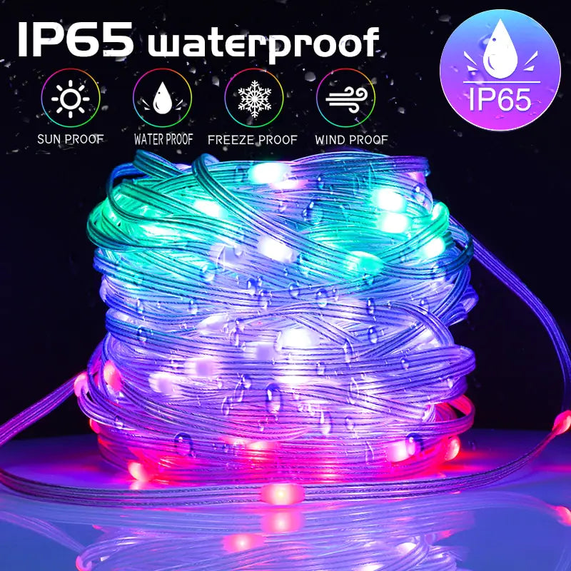 RGB Smart Fairy Lights